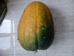 吃瓜炸裂大瓜怎么做,轻松成为瓜界达人！