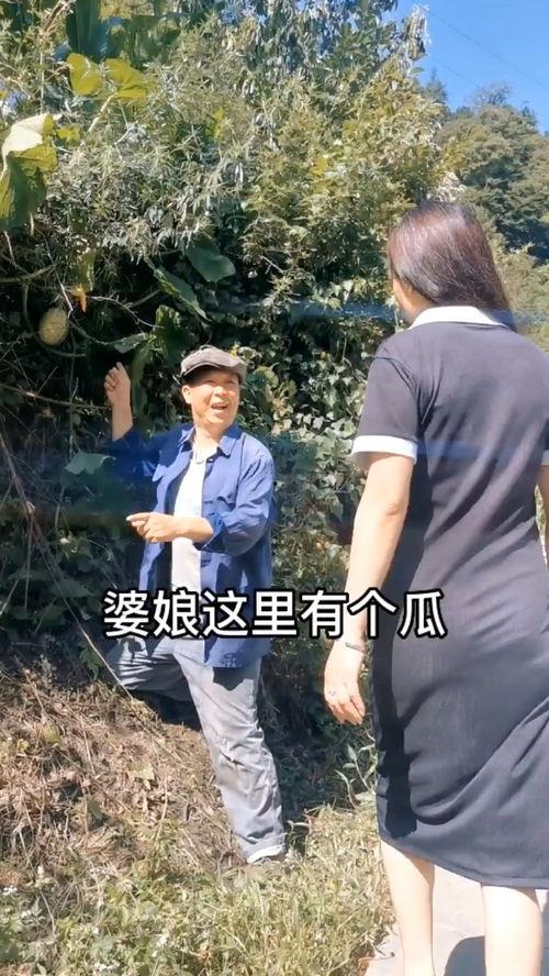 吃瓜不忘种瓜搞笑视频