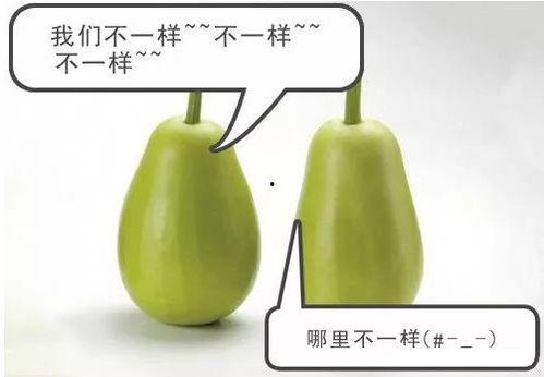 安警院吃瓜,真相与幕后