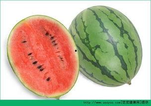 吃瓜嘴上过敏,揭秘夏日常见饮食隐患