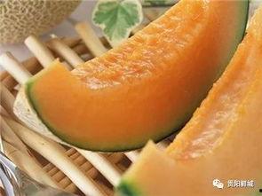 哈密瓜夹沙瓜怎么吃