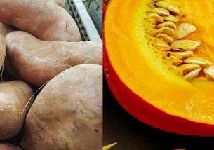 蝈蝈吃地瓜好么还是吃瓜,地瓜与瓜果的较量