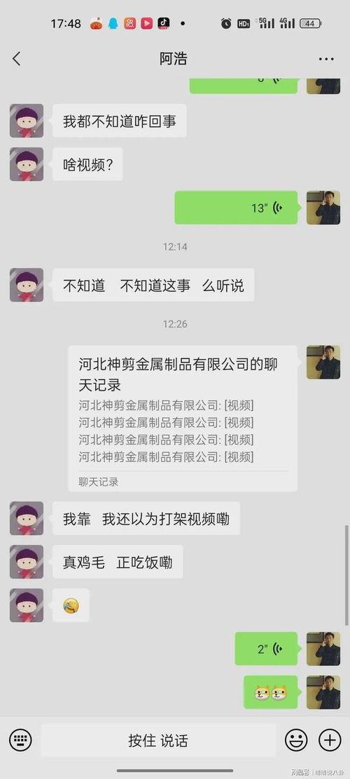 吃瓜视频河北永年